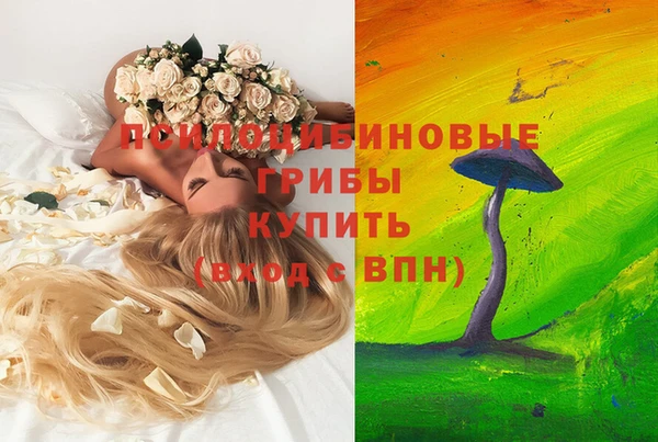 первитин Балахна